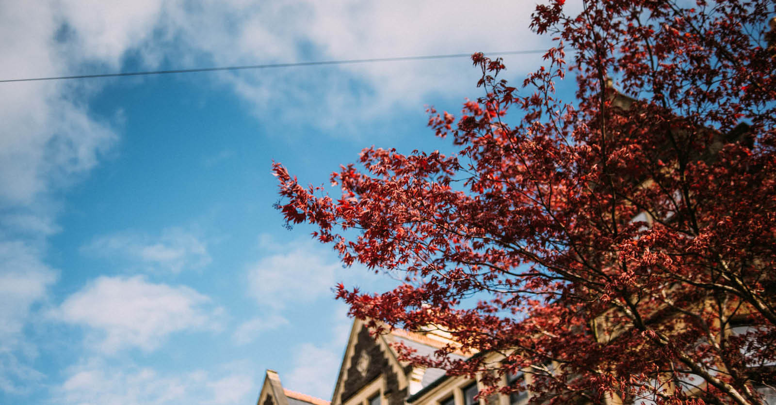 Guide to Pontcanna