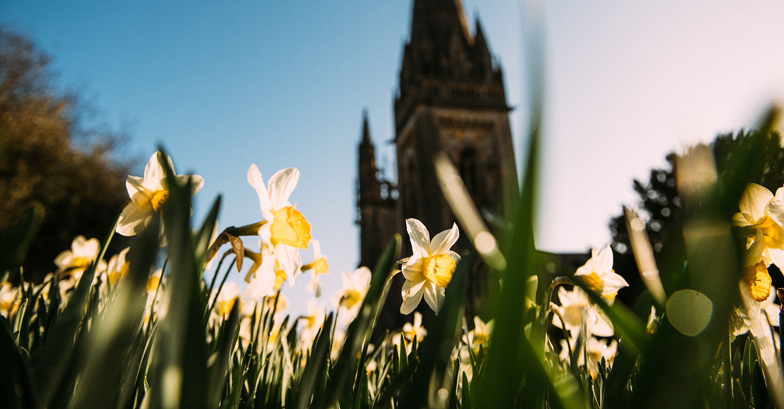 llandaff.jpg