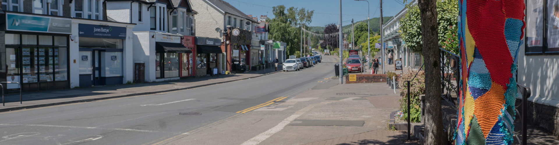 rhiwbina-header.jpg